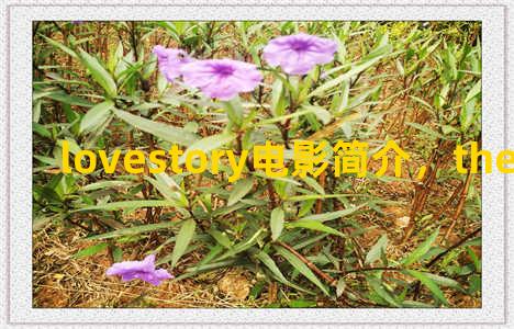 lovestory电影简介，the story of love电影